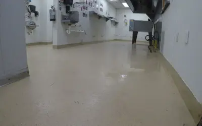 5 Signs Your Concrete Moisture Barrier Is Damaged
